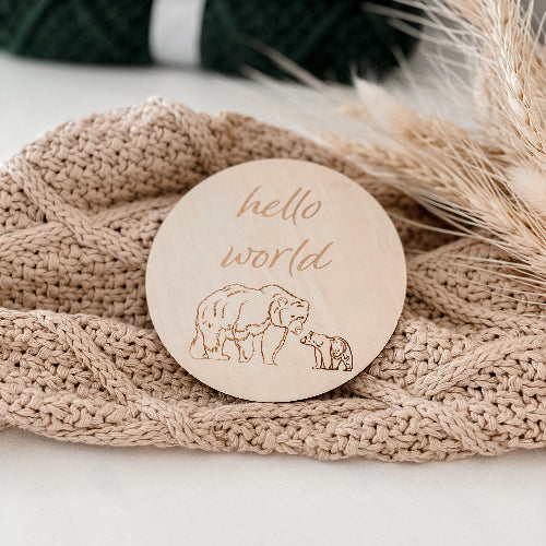 Hello World Mumma Bear Announcement Disc