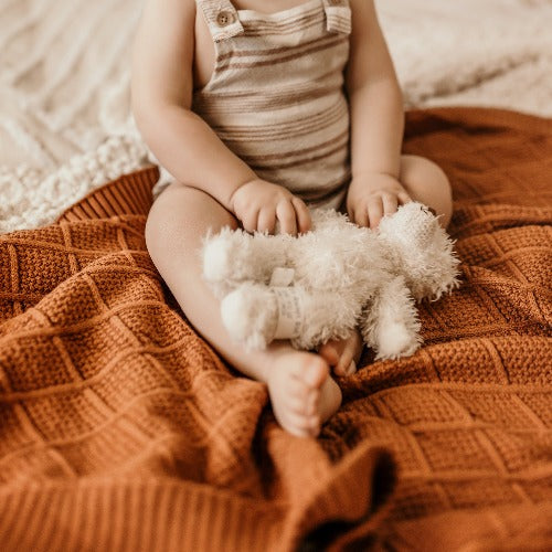 6 month old baby sitting on a snuggly jacks organic knitted blanket in cinnamon holding a stuffed bear